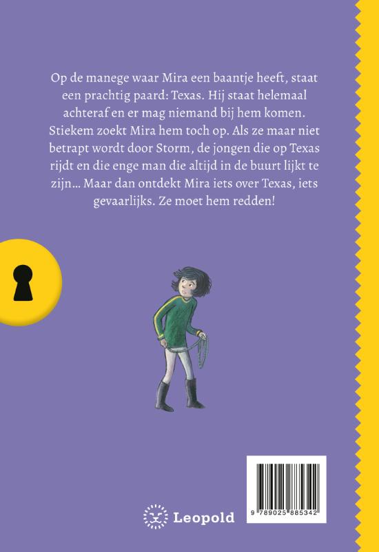 Het geheim van het verdwenen paard