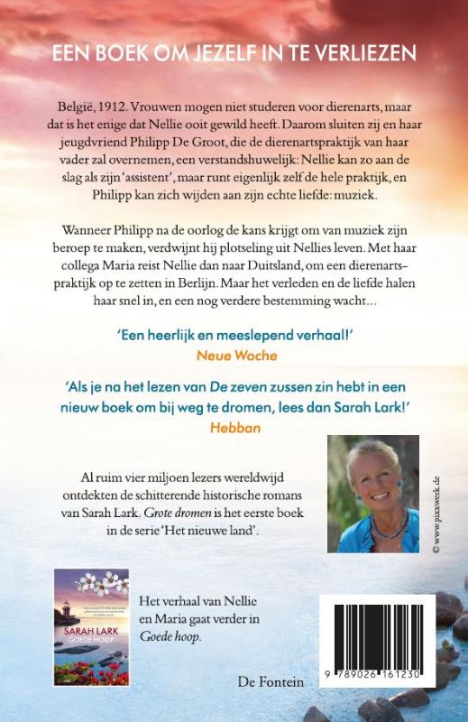 Grote dromen