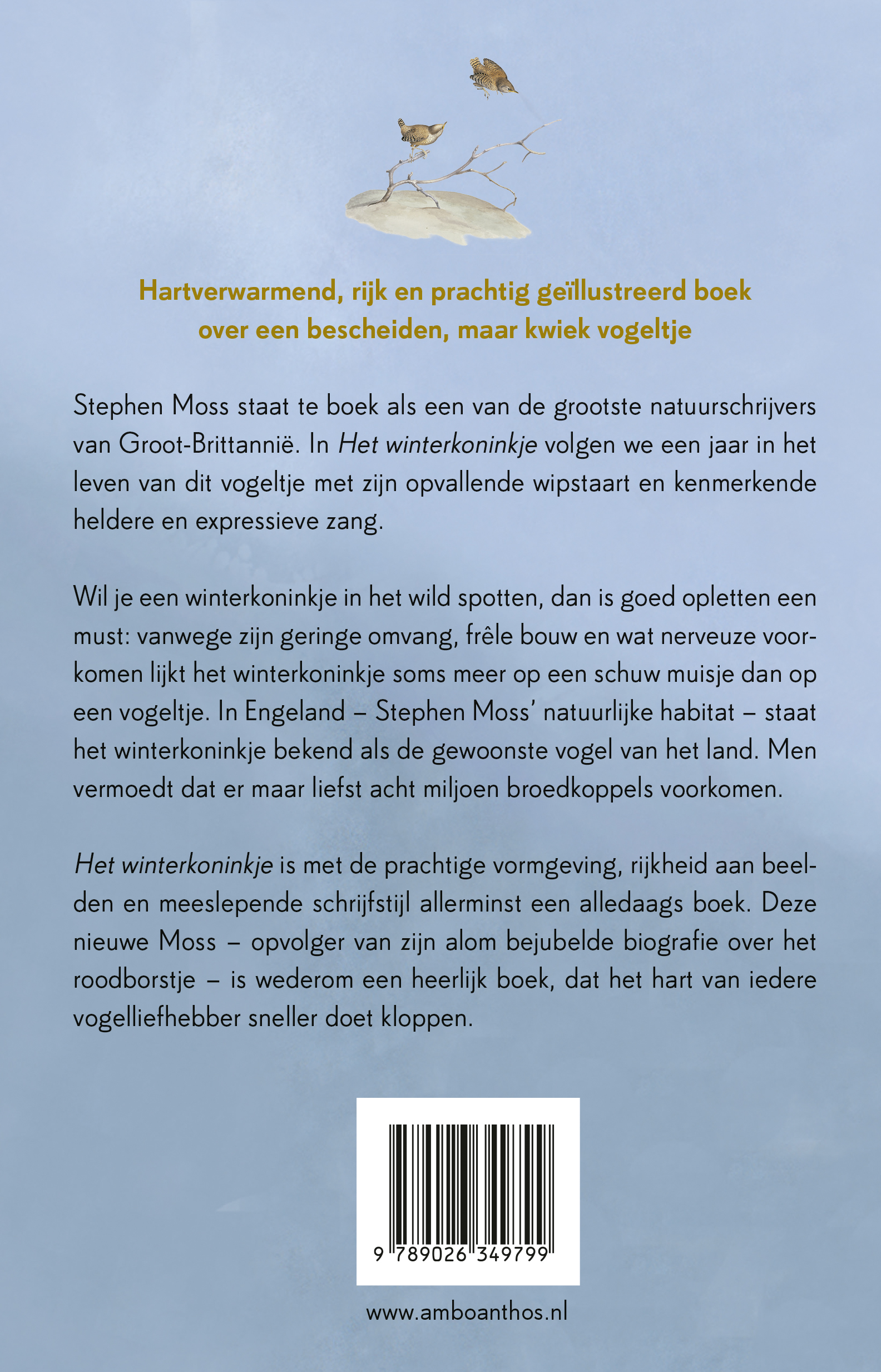 Het winterkoninkje