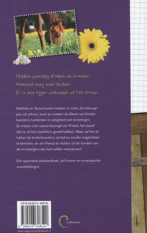 Paard ontdekt