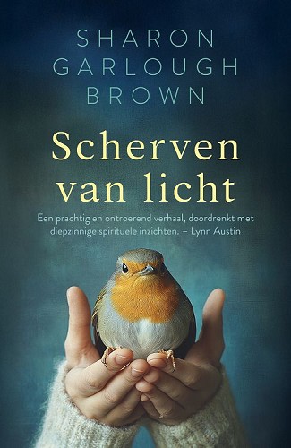 Scherven van licht