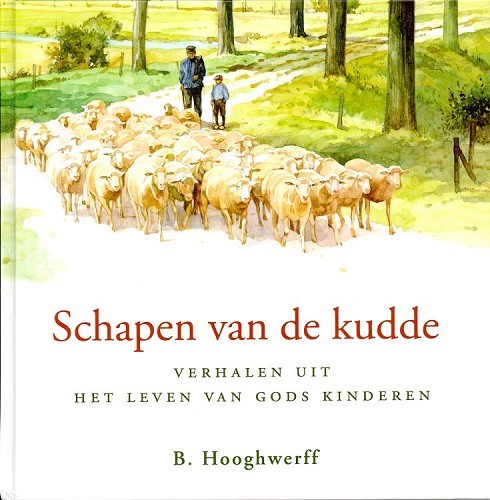 Schapen van de kudde