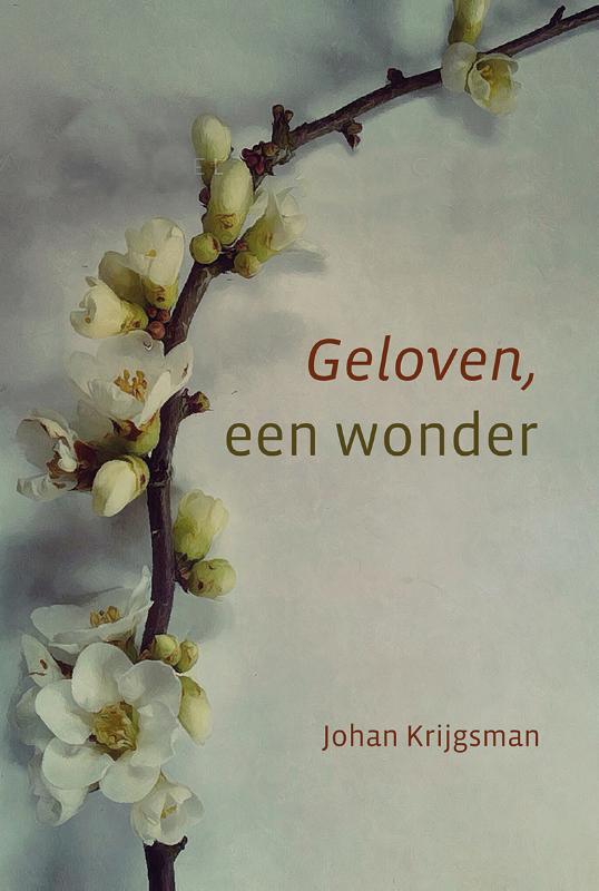 Geloven, een wonder