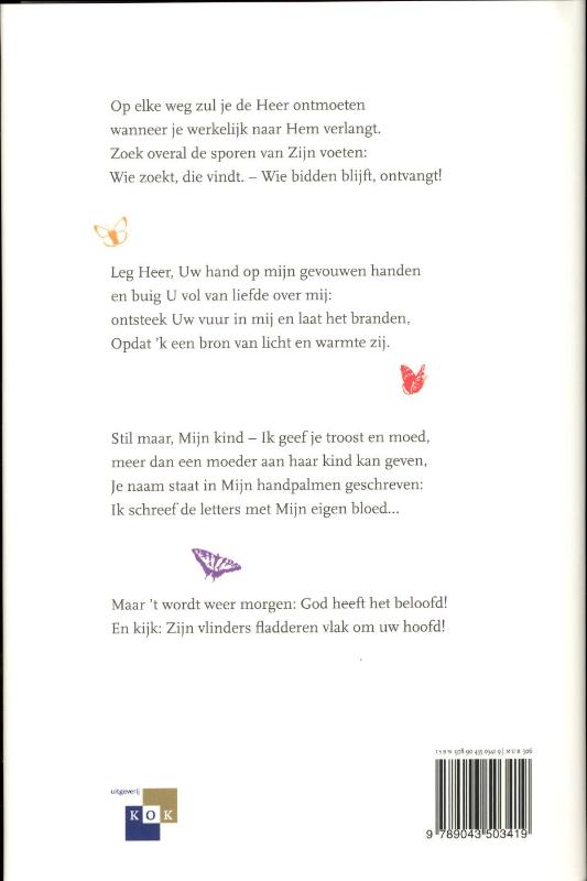 Een vlinder van God - Afbeelding 2