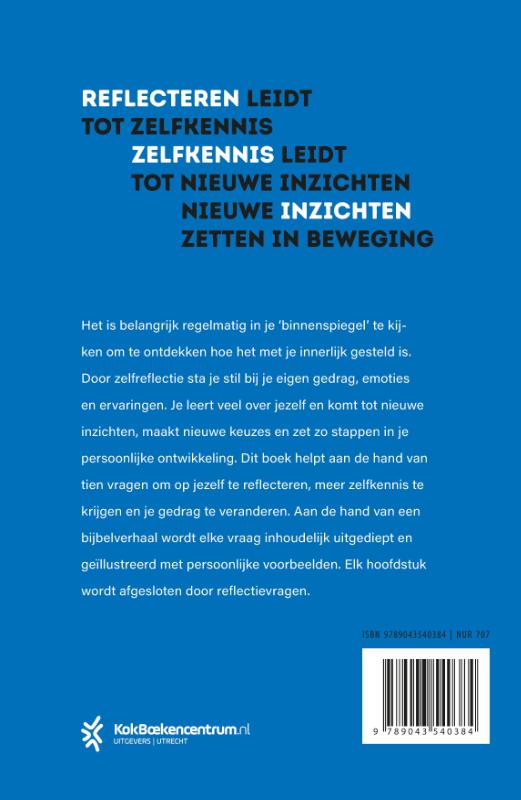 Binnenspiegel