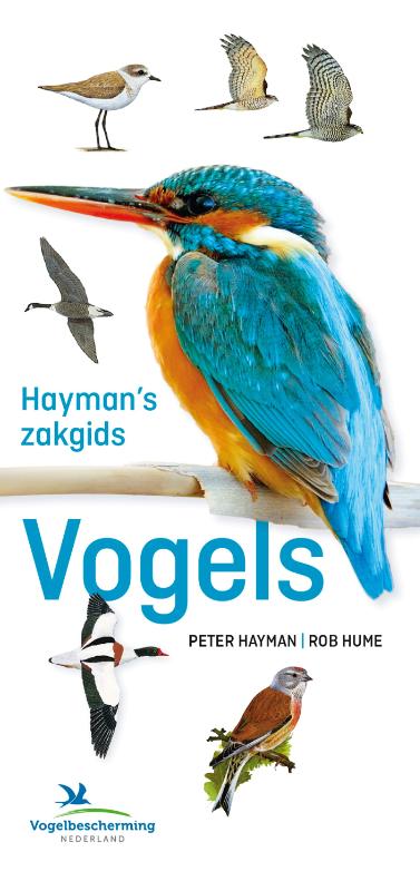 Hayman’s Zakgids Vogels