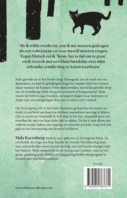 Het meisje, de kat en het bos