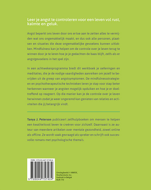 Angst en paniekaanvallen overwinnen – werkboek
