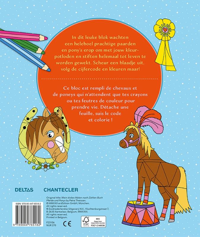 Manege Coloring Fun - Kleuren op nummer / Manege Coloring Fun - Coloriages codés - Afbeelding 2