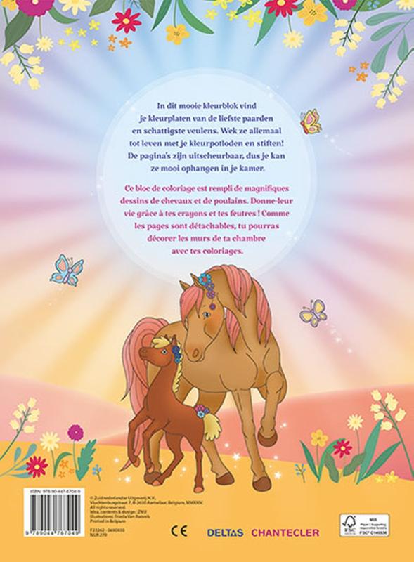 Ik hou van paarden kleurblok / J’aime les chevaux bloc de coloriage