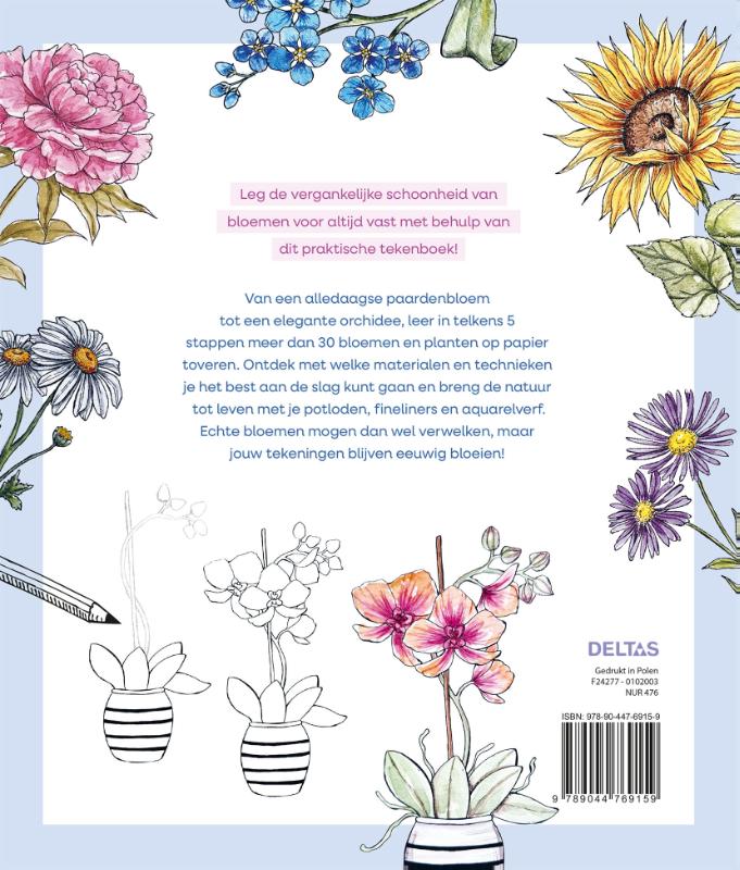 Stap voor stap bloemen leren tekenen
