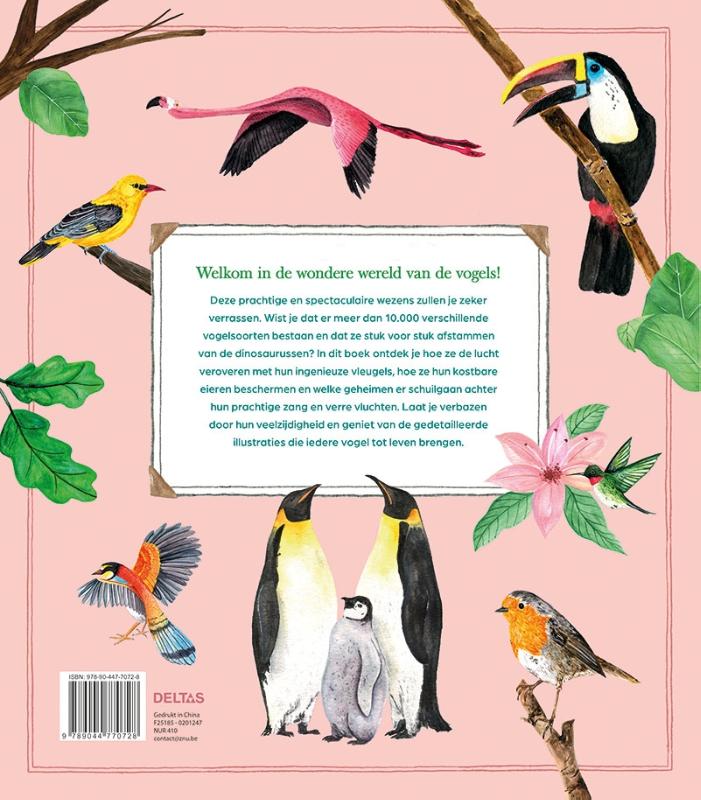 De wondere wereld van de vogels - Afbeelding 2