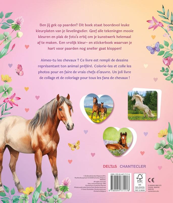 Dream Horses Sticker Parade