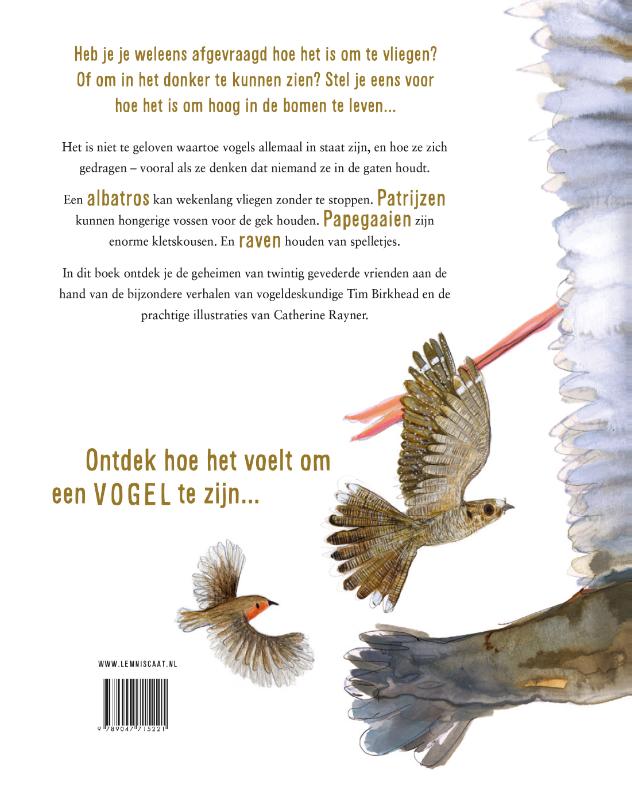 Zo voelt het om een vogel te zijn