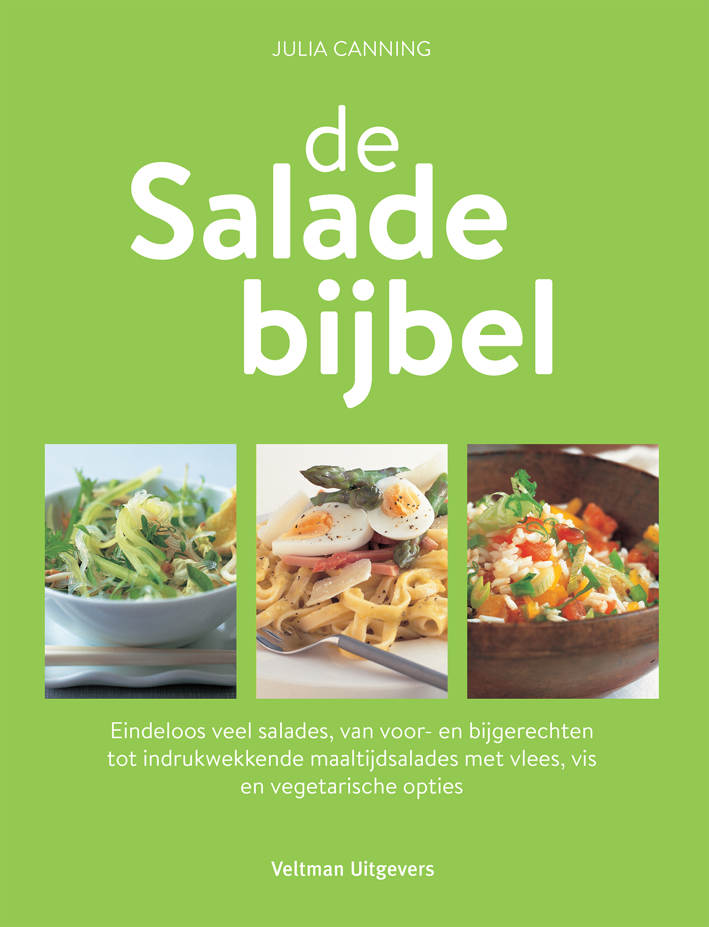 de Saladebijbel