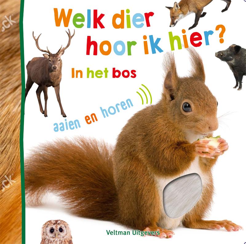 Welk dier hoor ik hier? – in het bos