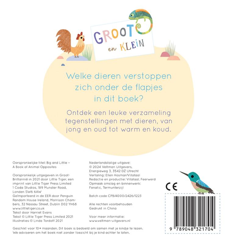 Groot en Klein, een boek vol tegenstellingen