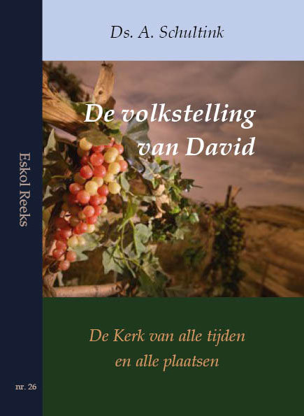 De volkstelling van David