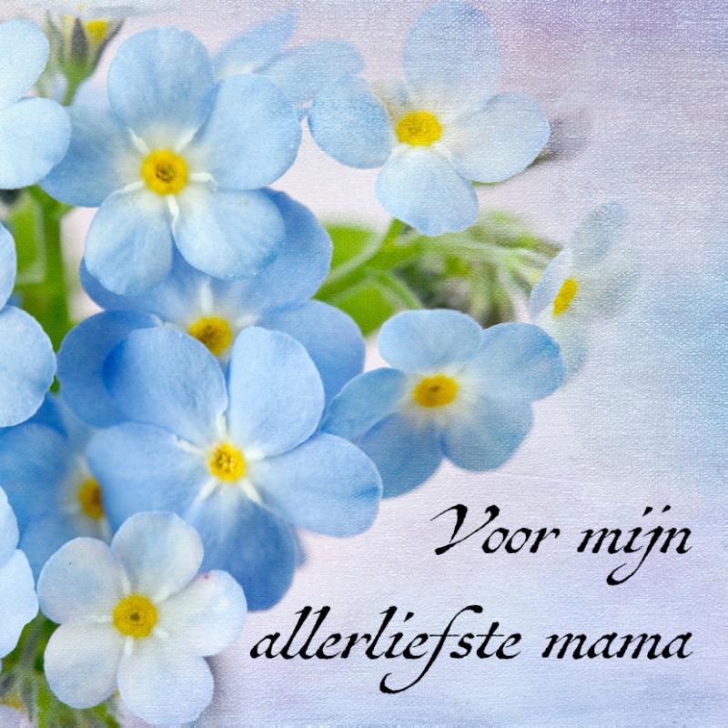 Voor mijn allerliefste mama Louise
