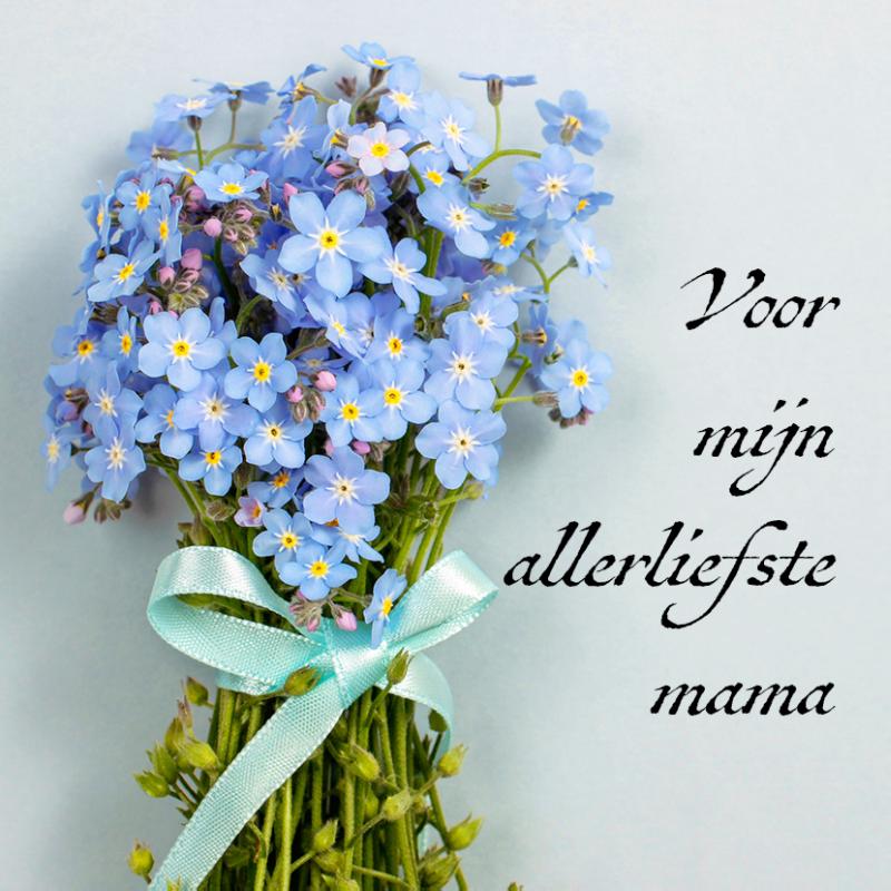 Voor mijn allerliefste mama Tamara
