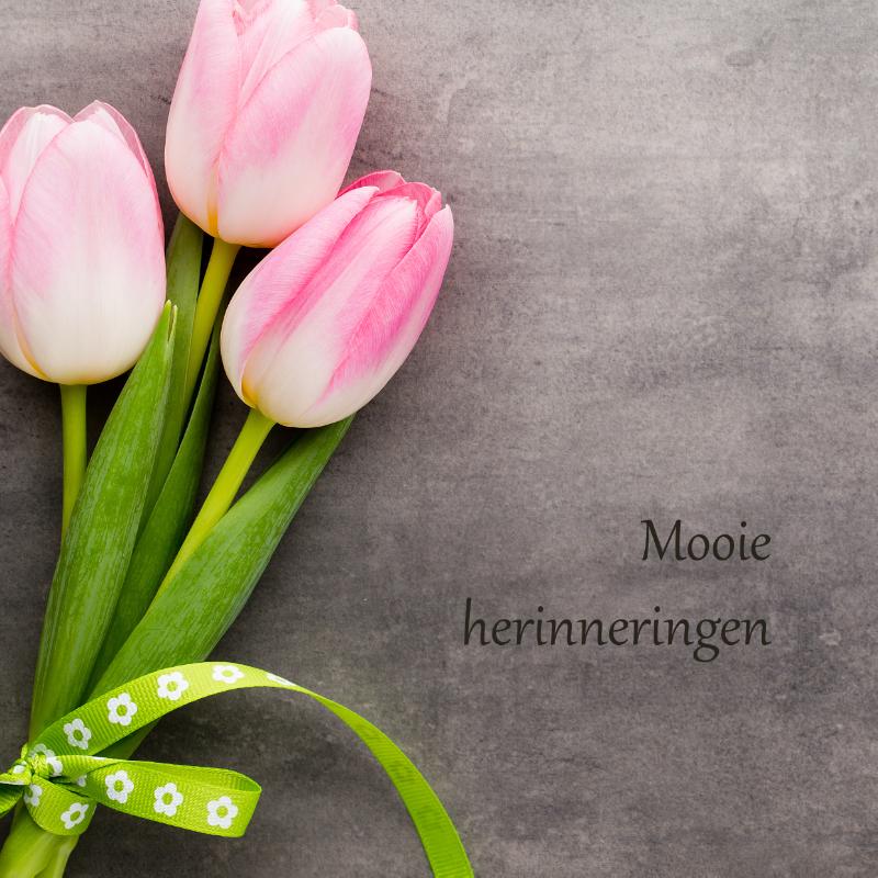 Herinneringen Tulp