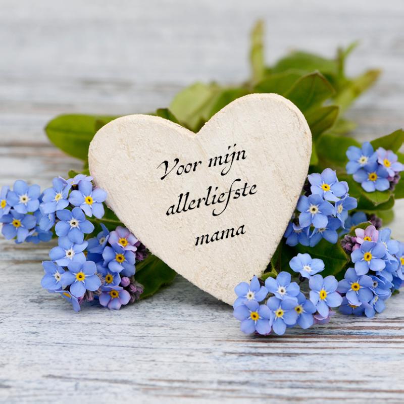 Voor mijn allerliefste mama Janet