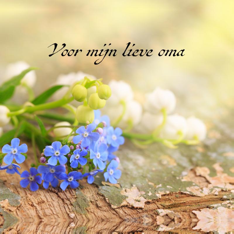 Voor mijn lieve oma Sijgje