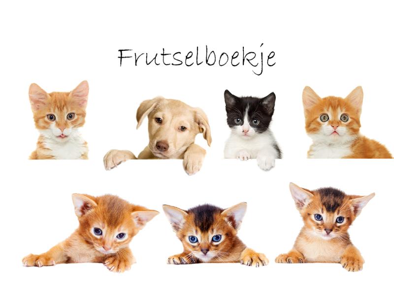 Frutselboekje Celia