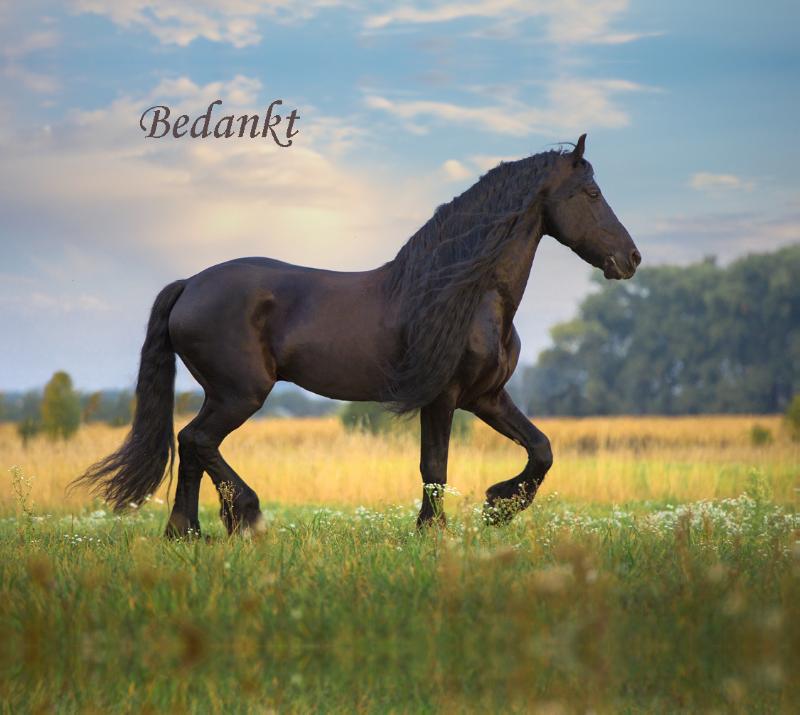 Bedankt
