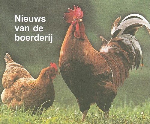 Kinderverrassing – 8 Nieuws van de boerderij