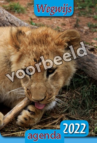 Wegwijsagenda 2026