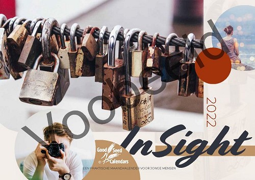 InSight