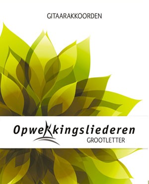 Grote letter gitaarakkoordenboek 1-819