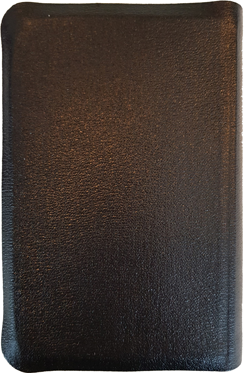 Bijbel met Psalmen (ritmisch) - Afbeelding 2