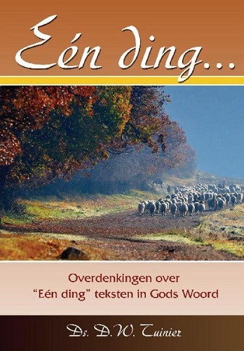 Een ding