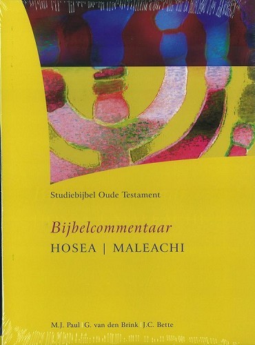 Studiebijbel Oude Testament – 12