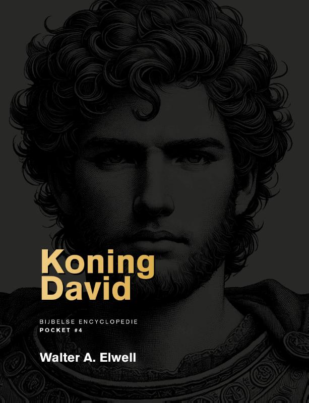 Koning David