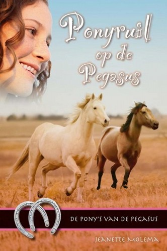 Ponyruil op de pegasus