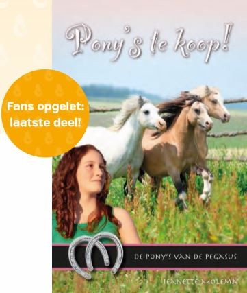 Pony's te koop! - Afbeelding 2
