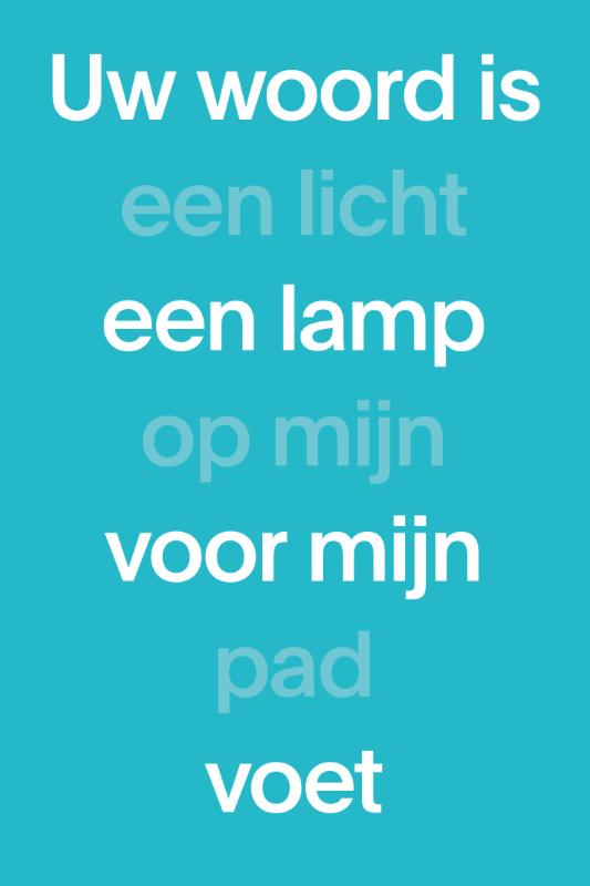 NBV1 Paperback Blauw