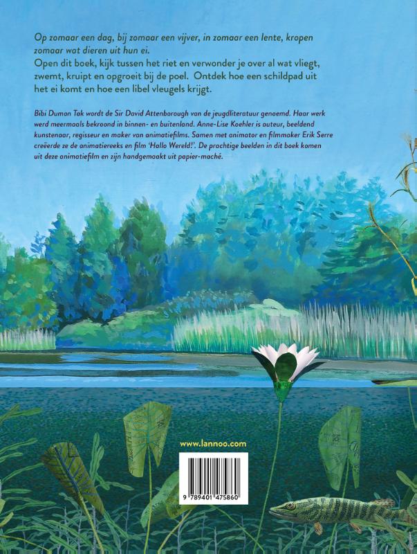 Zomaar een dag, bij zomaar een vijver