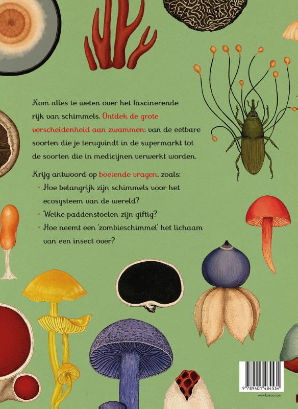 Het zwammenboek - Afbeelding 2