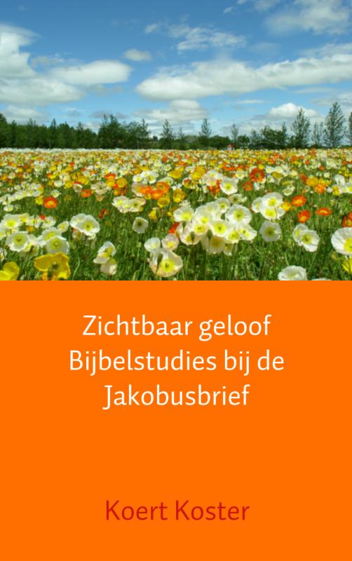 Zichtbaar geloof Bijbelstudies bij de Jakobusbrief
