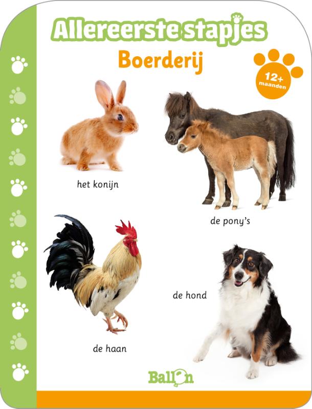 Boerderij – 12m+