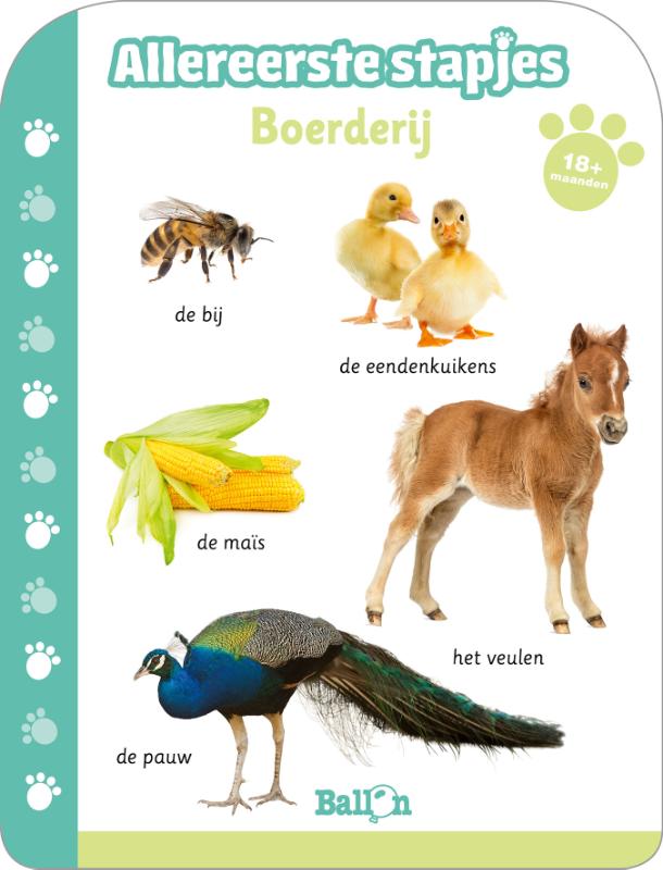Boerderij