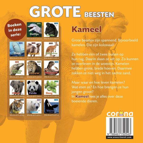 Kameel - Afbeelding 2