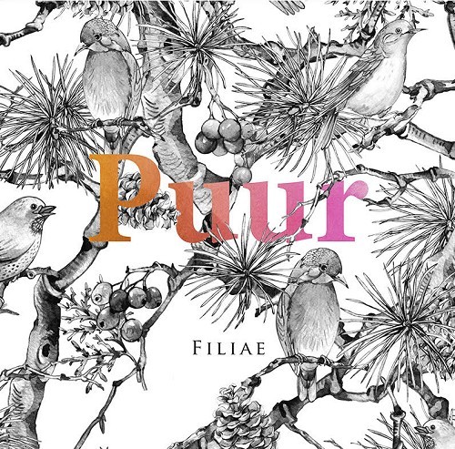 Filiae: Puur Zussen