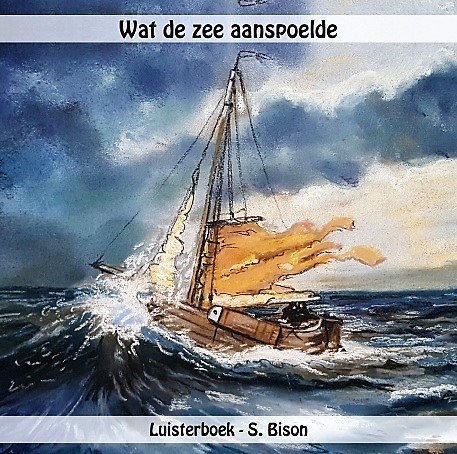 Wat de zee aanspoelde