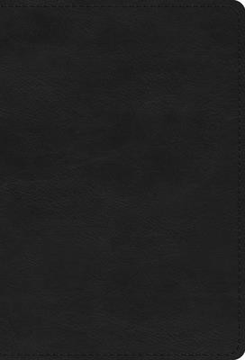 ESV Large Print Compact Bible, Red Letter (Trutone, Black)