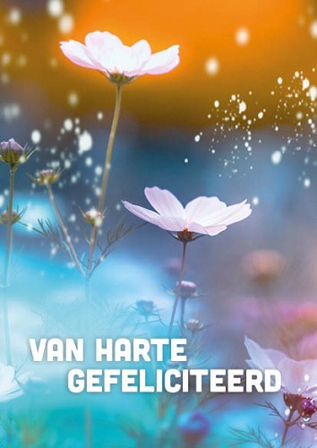 Kaart van harte gefeliciteerd – bloemen
